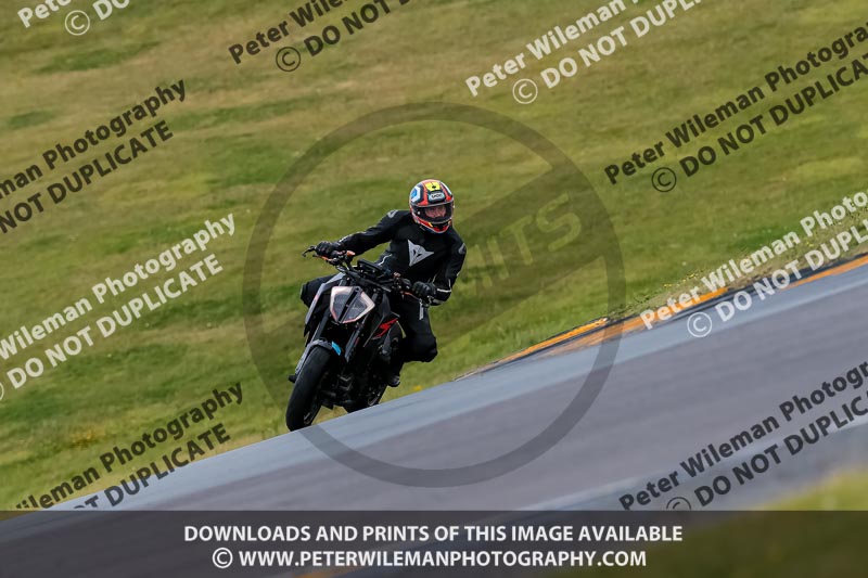 PJ Motorsport 2019;anglesey no limits trackday;anglesey photographs;anglesey trackday photographs;enduro digital images;event digital images;eventdigitalimages;no limits trackdays;peter wileman photography;racing digital images;trac mon;trackday digital images;trackday photos;ty croes
